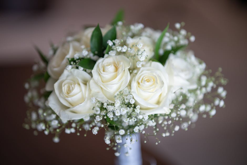 A bouquet arrangement featuring creamy white roses with soft, velvety petals and a gentle spiral formation, accented by clusters of small white baby’s breath flowers with delicate, airy blooms. The
